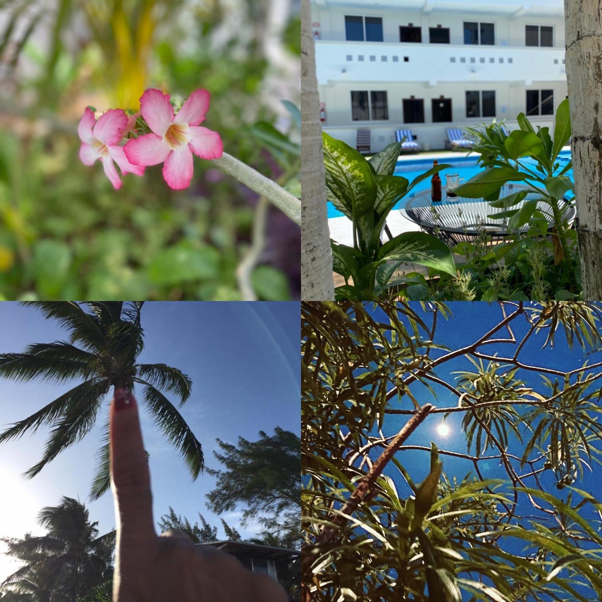 Hotel Balxiba Playa del Carmen Exteriér fotografie